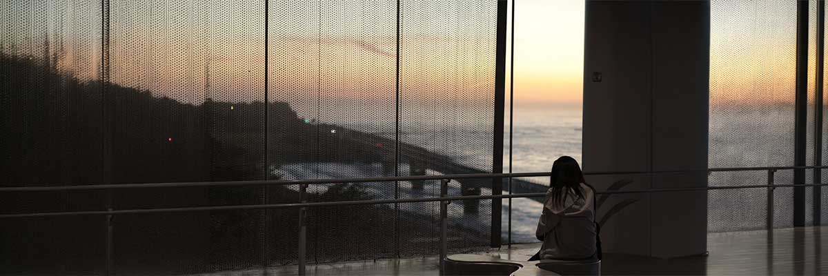 Mindfulness y la mente de principiante